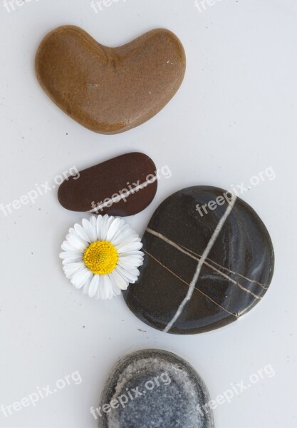 Stones Pebbles Background Pebble Plump