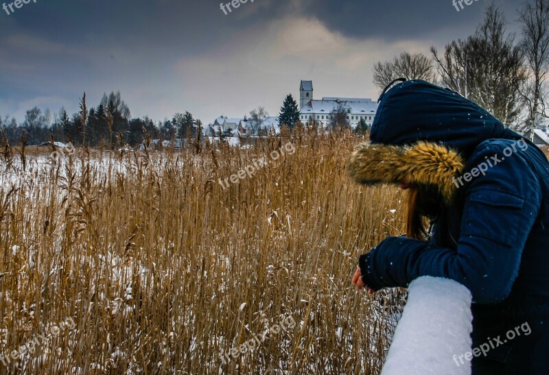 Spring Lake Bad Buchau Pose Winter Nature Conservation