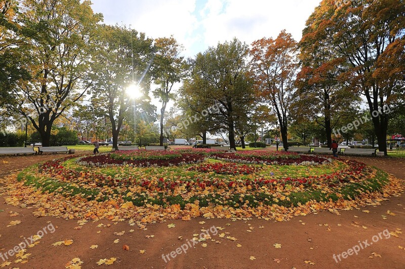 Autumn Fall Colors Mood St Petersburg Russia