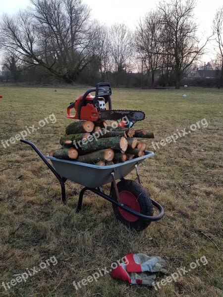 Chainsaw Firewood Autumn Sunset Woodcutting