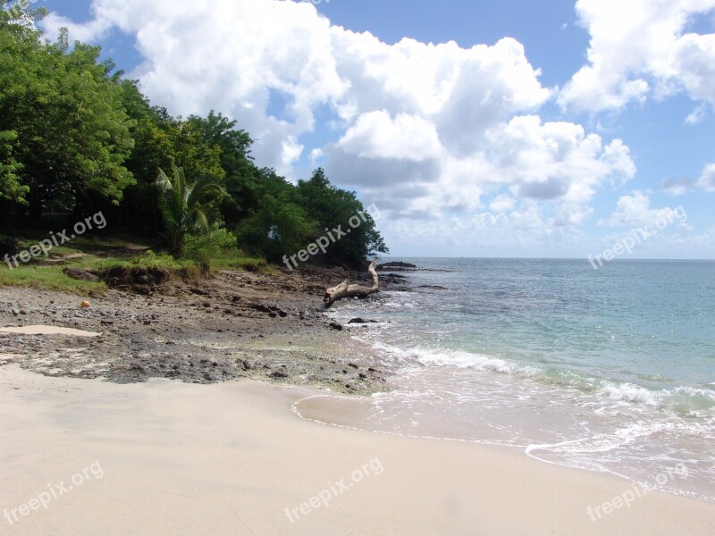 Caribbean Beach Mabouya Horizontal Ocean