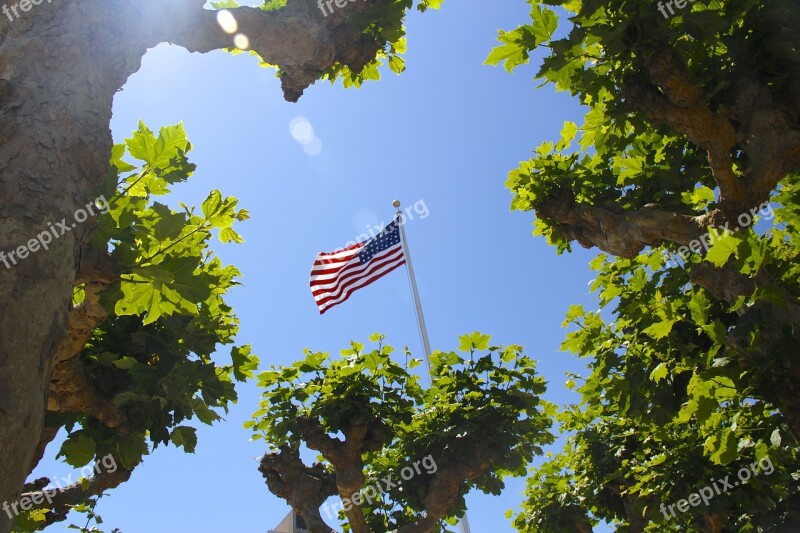 Flag America Flag Stars America Usa