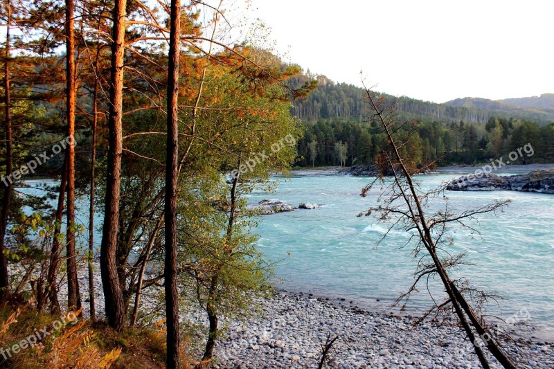 Altai Mountains River Trees Autumn