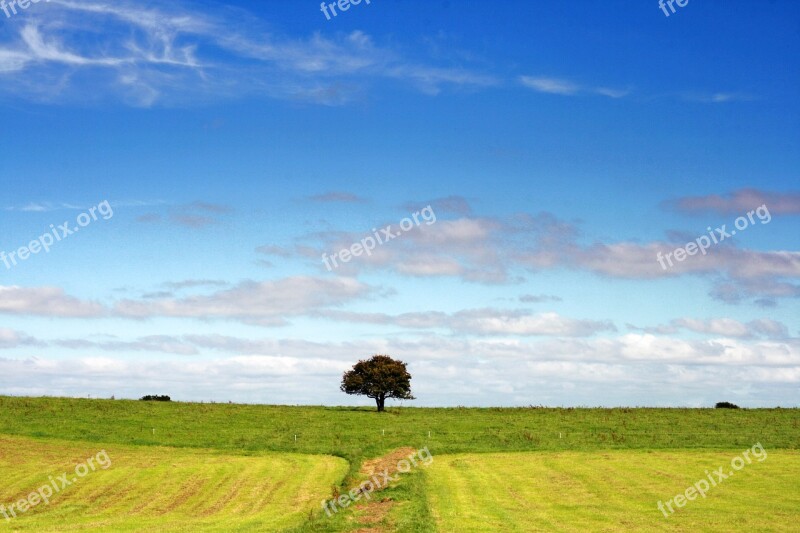 Landscape Tree Field Nature Clouds