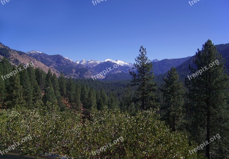 Sawtooth Mountains Idaho Usa Pine Trees