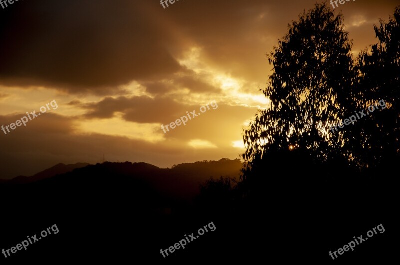 Sky Golden Hour Golden Sky Sky And Tree Black And Yellow Sky