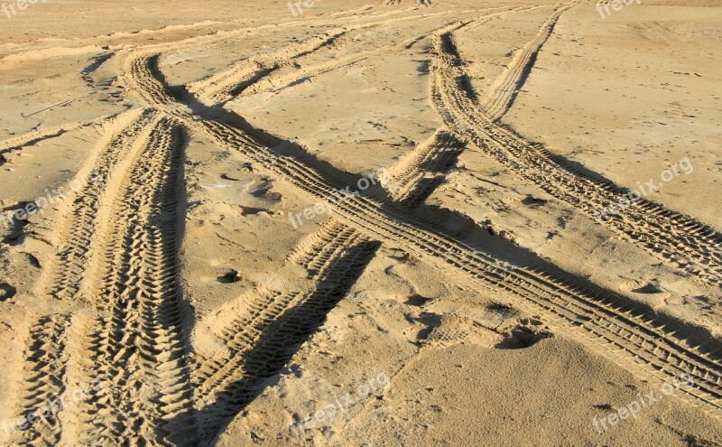 Beach Sand Tracks The Way Coast