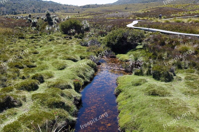 Tasmania Cradle Mountain Australia Trail Bach