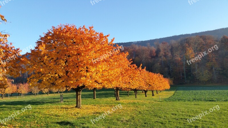 Herbst Landschaft Landscape Autumn Nature