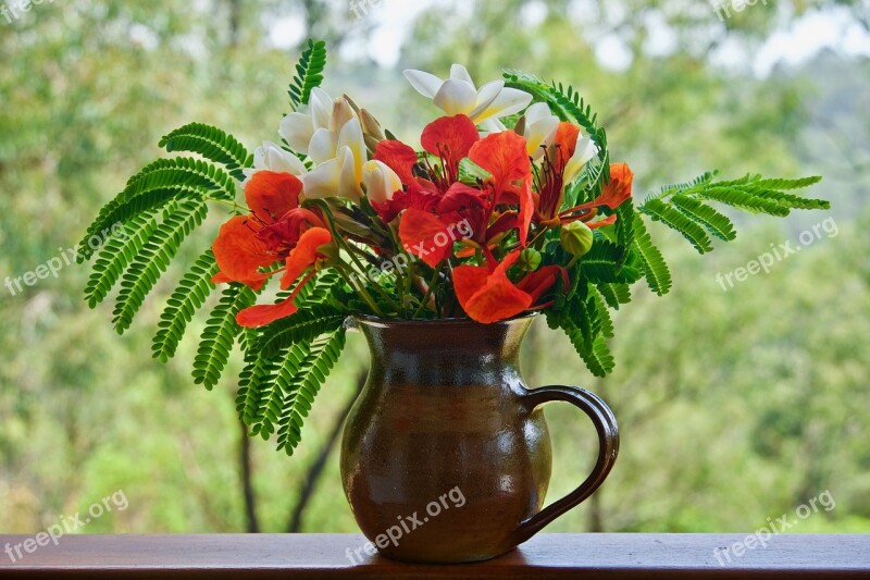 Flowers Ornamental Red Bloom Floral