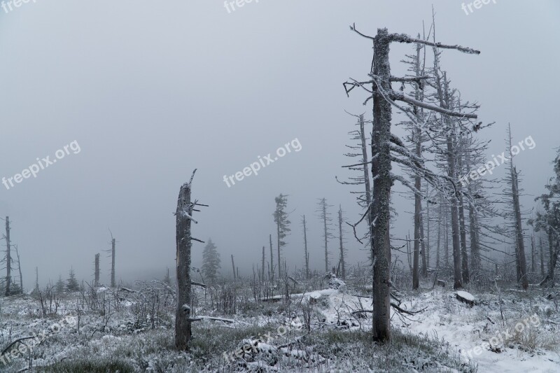 Winter Mountains Hurricane The Destruction Of The Broken Trees