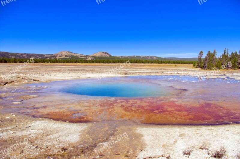 Yellowstone's Opal Pool Thermal Yellowstone National Park