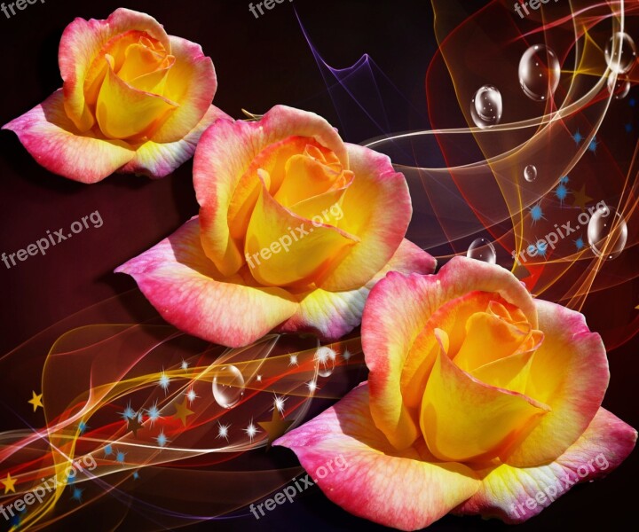 Flowers Roses Collage Romantic Mystical