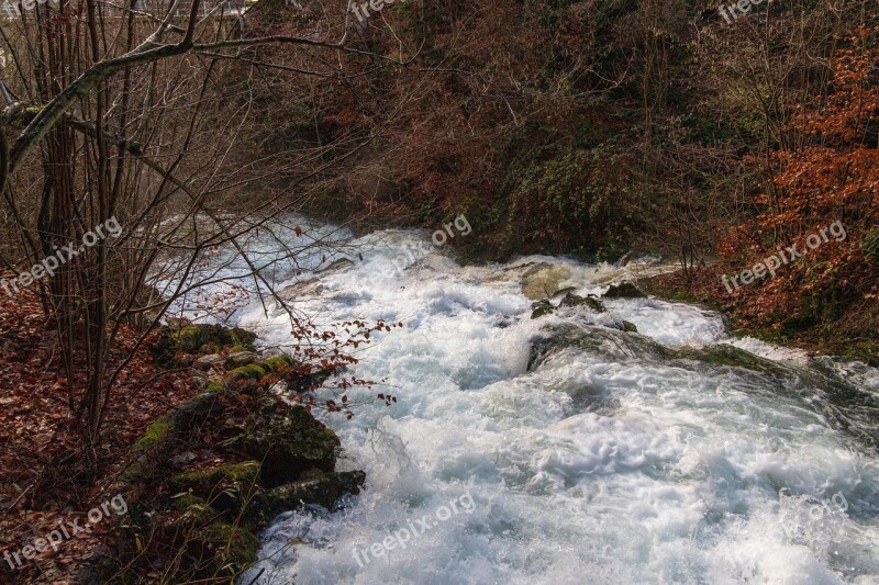 Torrent Autumn Watercourse Murmur Racing