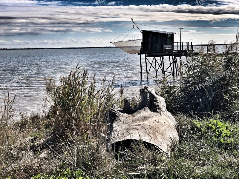 Plaice Garonne Dordogne Mouth River