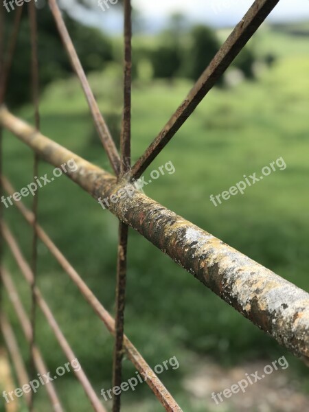 Gate Fence Pasture Farm Farm Gate