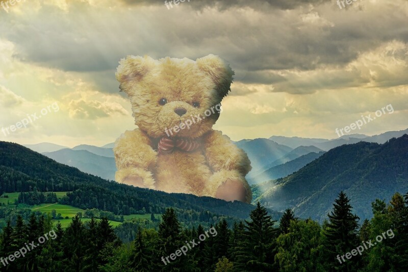 Teddy Bear Giant Distant Mist