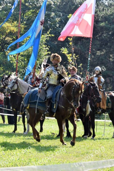 Sommerfest Knight Attack Middle Ages Historical Representation