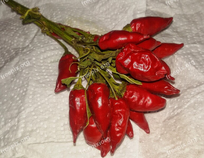 Chili Pepper Spicy Kitchen Red Flavor