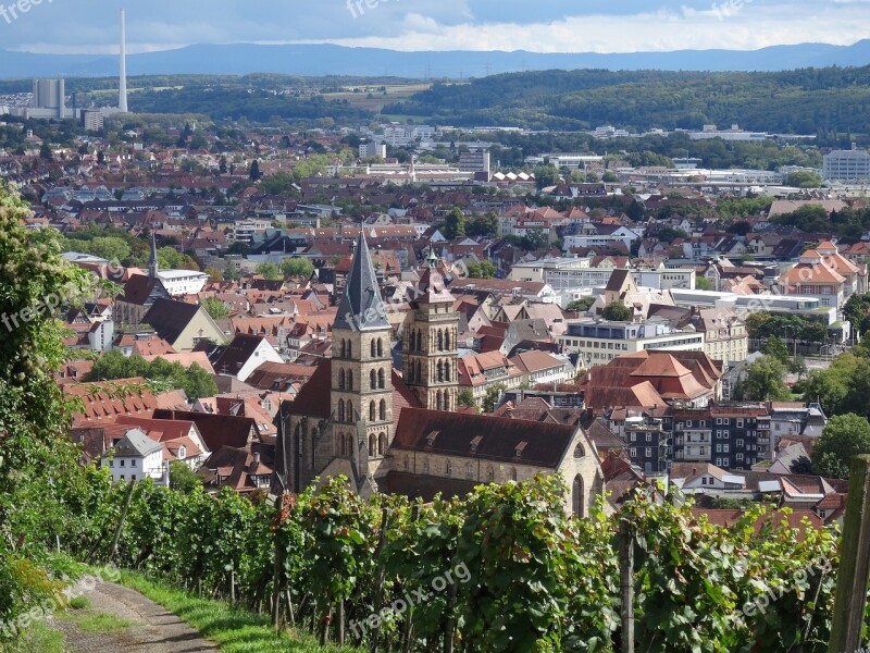 Esslingen City Church Neckarhalde Wine Vineyard