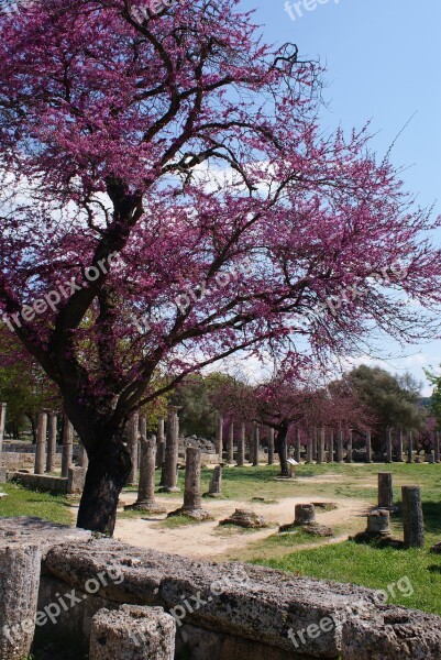 Greece Olympia Archeology Antique Unesco