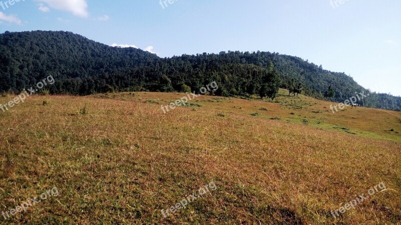 India Highland Grassland Himalayan Meadow