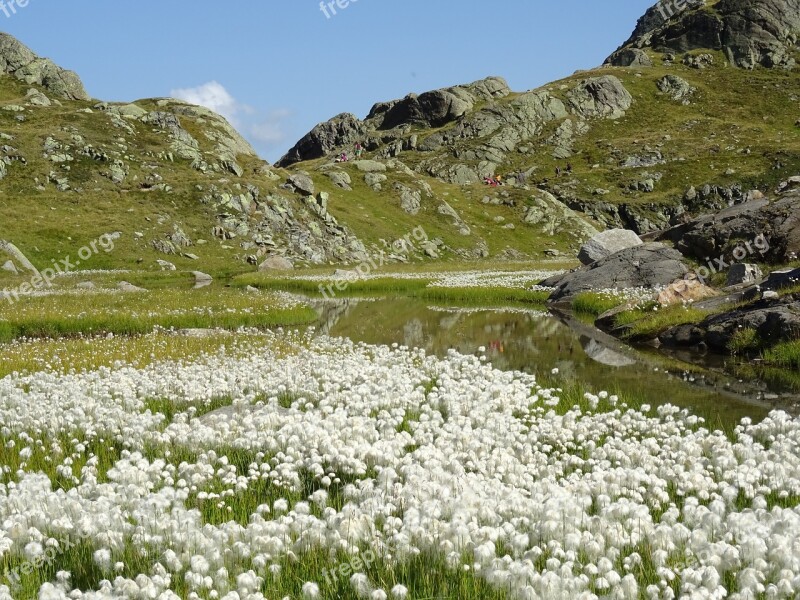 Alpine Stubai Mountains Landscape Free Photos