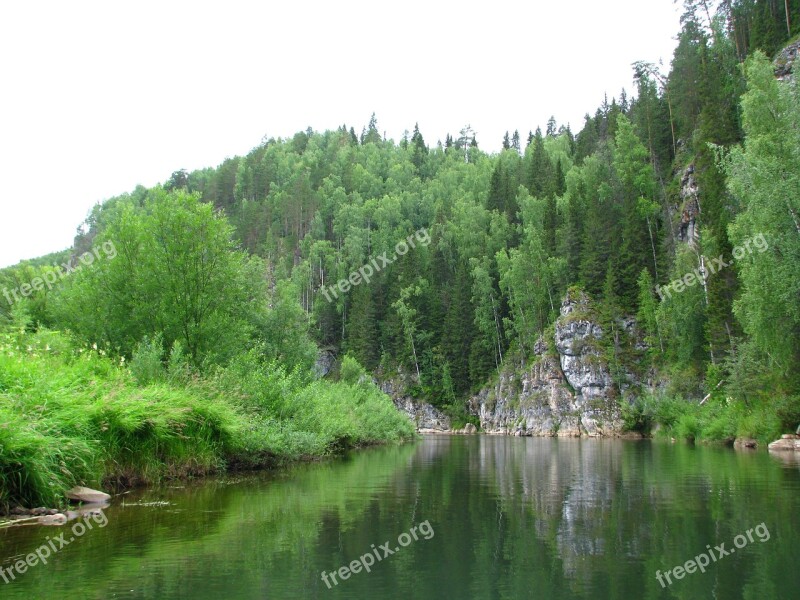 Forest Nature Summer Landscape Green