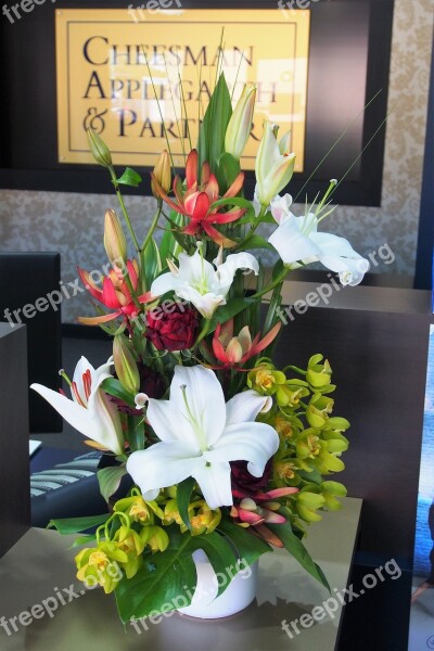 Flowers Arrangement Florist Free Photos