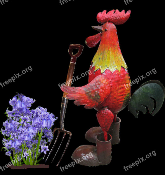 Rooster Digging Flower Garden Free Photos