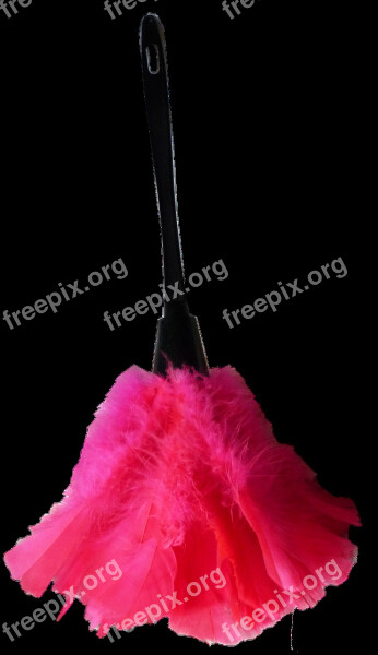 Feather Duster Housework Cleaning Free Photos