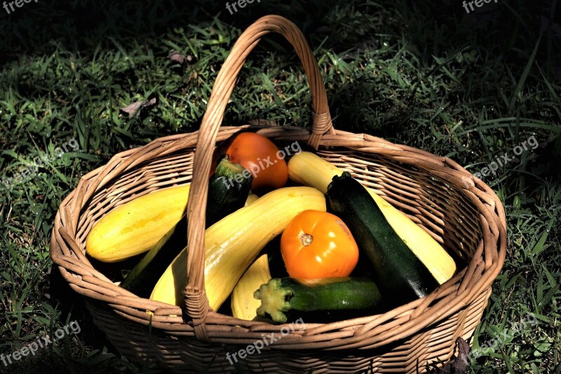 Basket Squash Zucchini Vegetables Fall