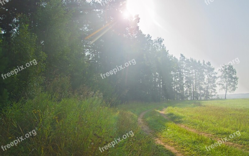 Landscape Summer Morning Fog Nature