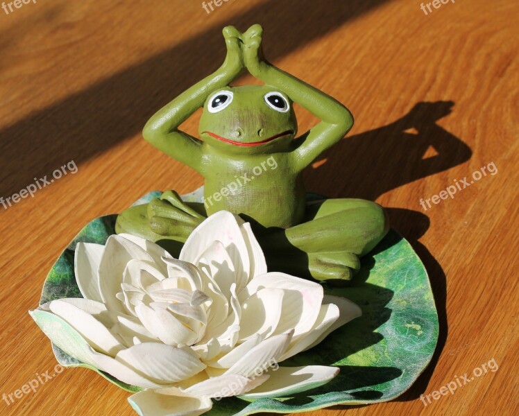 Emotion Yoga Frog Character Green Lotus