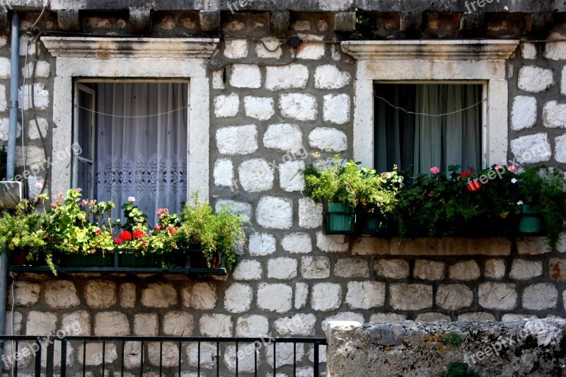 Dubrovnik Window Flower Beautiful Home