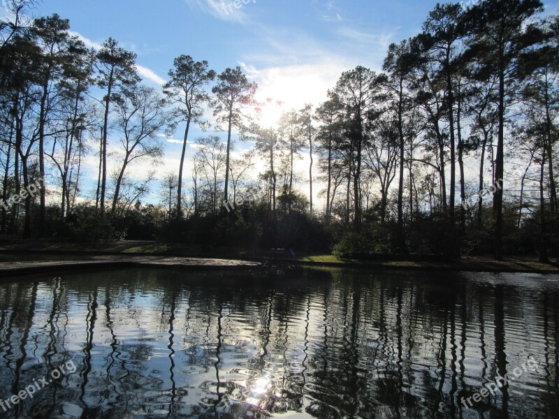 Lake Water Reflection Trees Sky