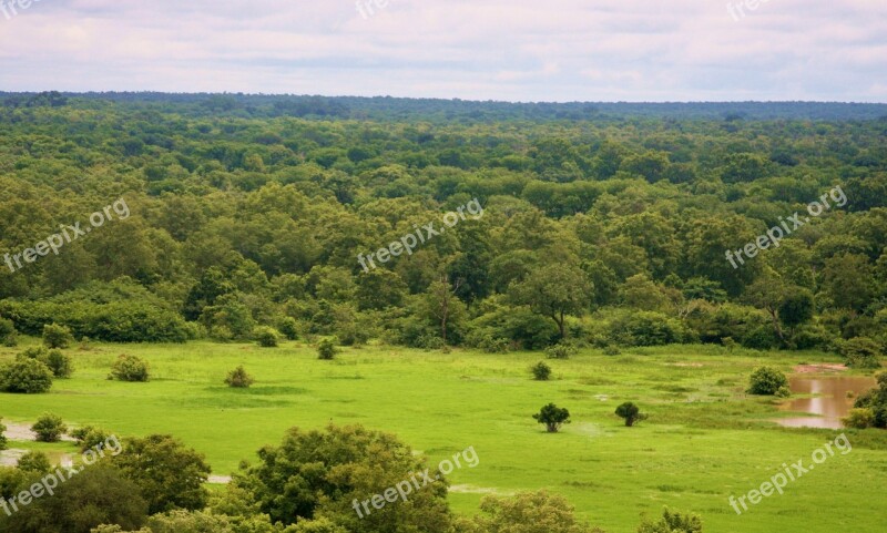 National Park Mole National Park Tourism Ghana Safari Nature