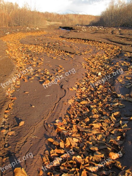 Autumn Fallen Foliage Road Yellow Leaves Autumn Foliage