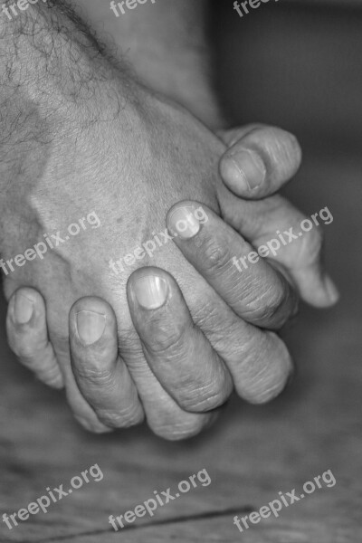 Hand Black And White Holding Male Free Photos