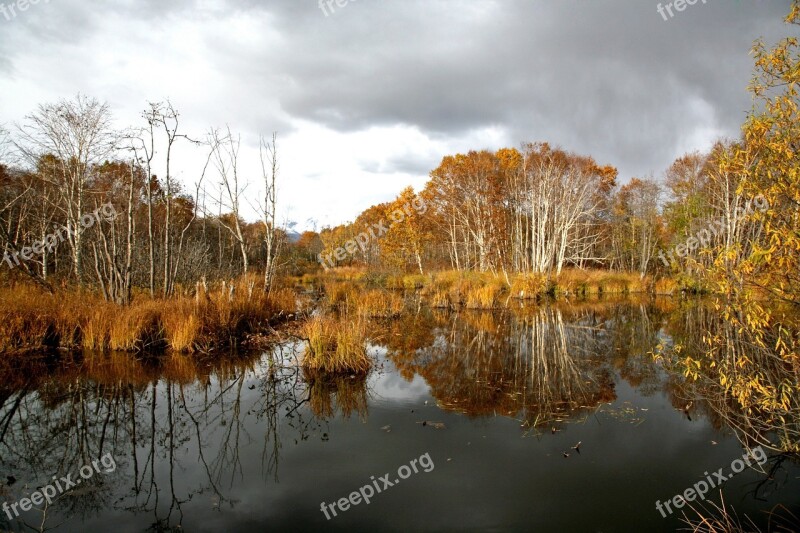 Forest Small River Body Of Water Autumn Foliage