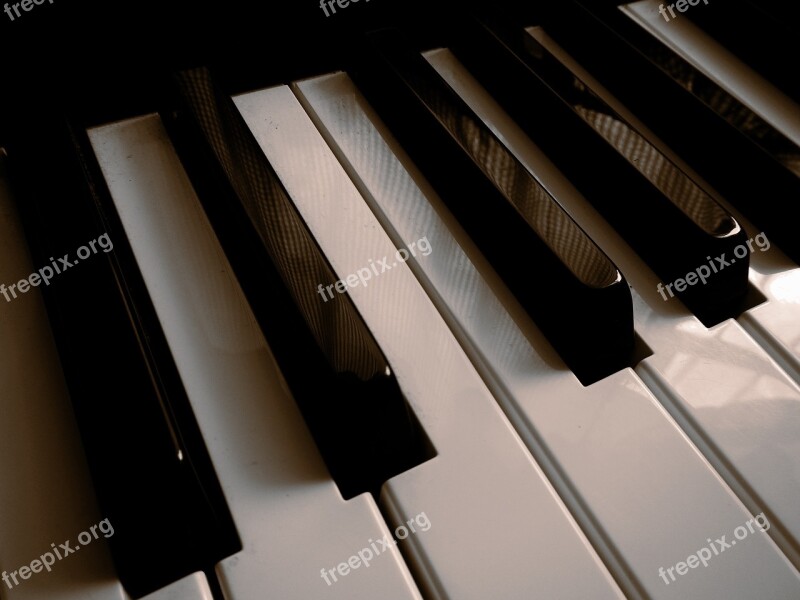 Keyboard Piano Keys Musical Notes Instruments Music