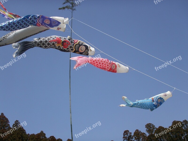 Boys' Festival Carp Streamer Streamers Free Photos