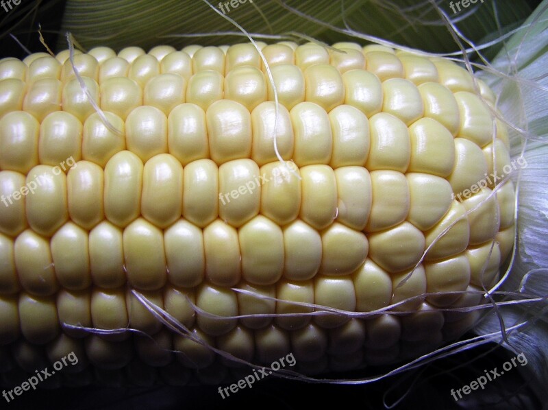 Sweet Corn Vegetable Food Free Photos