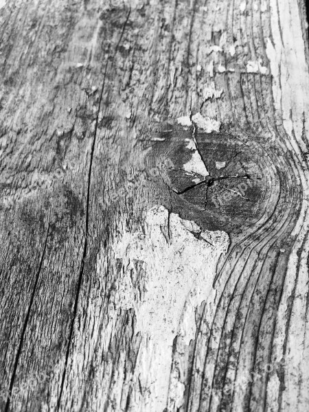 Black White Wood Plank Aged Wood Barn Board Free Photos