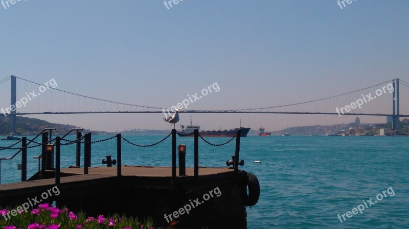 Bosphorus Istanbul Turkey Free Photos