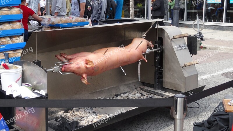 Pig Barbecue Grill Eat Meat