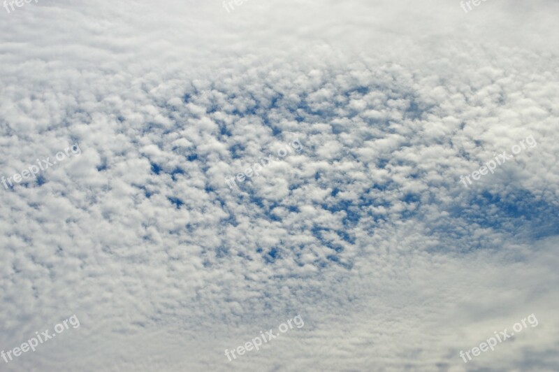 Sky Clouds Borrego Clouds Sheep Cotton Clouds Free Photos