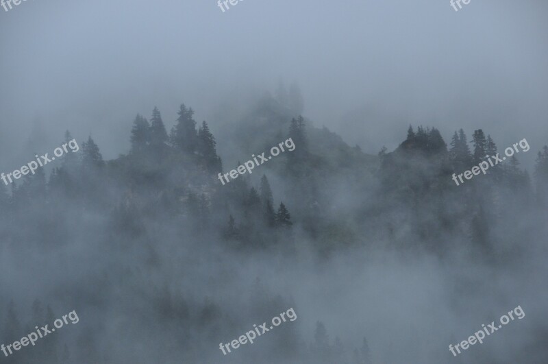 Fog Clouds Mountains Forest Nature