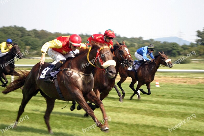 Horse Racing Jockey Iffezheim Baden Baden Racehorse