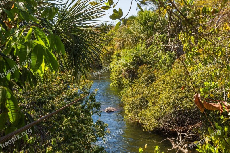 Zipline Rio Nature Rapids Free Photos